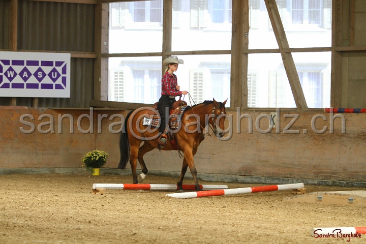 26-ApHC GT_044.jpg